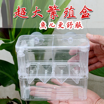 Fry double-layer breeding box Guppy fish delivery room incubator small fish juvenile fish fish fighting box isolation box large