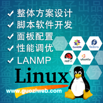 Professional ten years of Linux development CentOS Ubuntu LAMP LNMP high performance optimization website maintenance