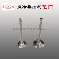 Air-cooled diesel engine parts Kema Popular Cape 170F 173f178f 186F intake and exhaust valves