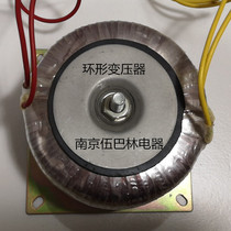 Toroidal transformer 300w220V to 220V full copper 300VA isolation transformer 1 to 1 anti-shock anti-interference