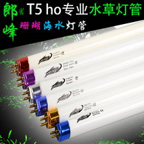 Langfeng aquatic straw tube grass cylinder light t5ho Langfeng tube Sun natural light 6500K water grass special light tube