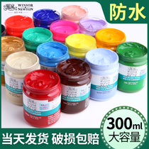 Windsor Newton acrylic pigment painter special 300ml canned titanium white gold wall painting waterproof and sun-proof hand-painted diy shoes students beginner art winsornewton flagship store