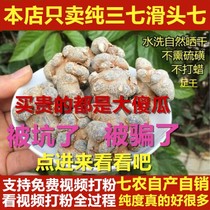 Yunnan Wenshan special 20 head 30 imitation wild 40 spring field seven 1Kg pure natural ultra-fine three seven powder 500g