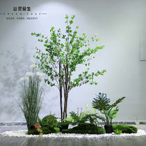 Simulation plant bonsai green planting plant landscaping indoor hanging bell tree landscape large floor decoration hotel mall