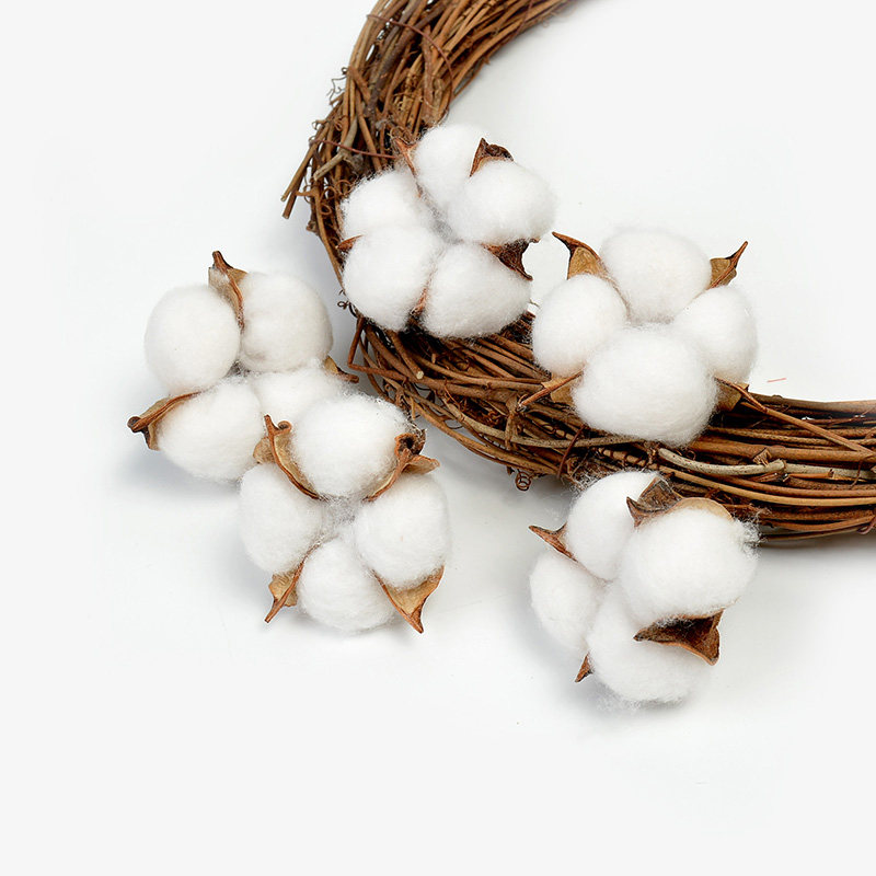 Cotton dry flower natural cotton head diy hand-made immoral flower Christmas rattan ring decoration ins home window soft