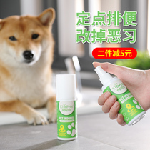 Dog toilet inducer dog stool positioning defecation training Toilet Liquid pet poop trap dog supplies