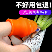 Pick pepper artifact cut gloves Pinch pepper special pick vegetable finger set Iron nails Agricultural picker thumb knife