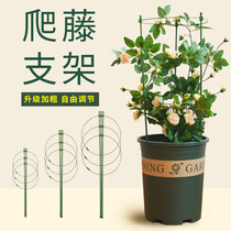 Plant portable fixed climbing pergola Plant seasonal climbing pergola telescopic flower rack Indoor climbing pergola climbing net