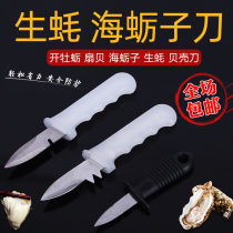 Raw oyster knife oyster knife oyster open shell knife oyster knife artifact tool tool oyster raw oyster knife Oyster Oyster knife open shell knife pry