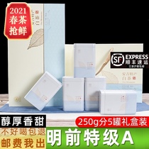 White tea tea special class 2021 new tea authentic alpine Anji white tea Mingqixianchun Tea 250g gift box