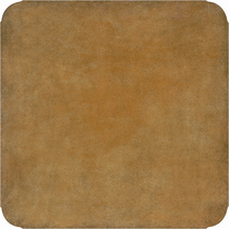 Marco Polo tile antique brick living room brick 500*500 C5013R