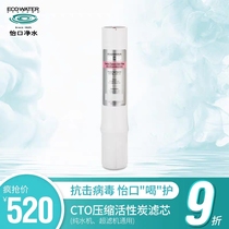 ECOWATER AMERICAN PLEASANT WATER PURIFIER CTO COMPRESSED ACTIVATED CARBON FILTER CARTRIDGE PURE WATER PURIFIER UNIVERSAL