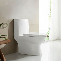 Wave whale SSWW conjoined toilet CO1160