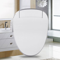Kohler smart toilet K-18751T-0 (online deposit details to the store)