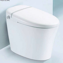 Wing whale smart toilet ICO553 Main City package delivery installation