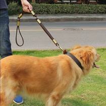 Cowhide dog rope chain traction three small medium and large dog golden hair does not pull more evil horse dog bully stling pet supplies