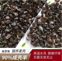 Buckwheat Shell Bulk Adults Students Insomnia Theorizer Pillow Core Four Seasons Universal Cervical Spine Pillow Adults Home