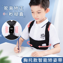 Sitting Position Straightener Pupil Writing Straightener Children Correction Writing Sitting Posture Aligner Vision Protection Write Homework Theorist Correction with anti-myopia learning Divine Instrumental Anti-Bow and anti-humpback
