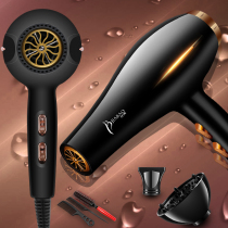 Hair dryer high power 5000W hair stylist 9000W home barber shop negative ion 3000 hair salon special hair care