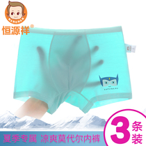 Hengyuanxiang Childrens Underpants Boys Modal Boxer Summer Thin Boys and Children Middle and Big Children Boxer YY