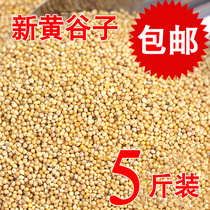 Parrot feed bird food shelled millet yellow millet tiger skin Xuanfeng Peony parrot feed bird bird food 5 pounds
