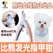 Bears dog nail pliers anti-bleeding small dog with light nail scissors Photo blood line pet Daily necessities