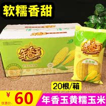 Nian Xiangyu Golden glutinous corn Frozen sweet glutinous corn Northeast glutinous corn cob Yellow corn sticky corn cob 20 pieces