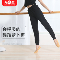 Shape pants dance radish pants spring summer modern dance practice uniform loose wide legs black Latin dance trousers