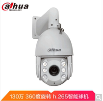 Dahua 13 million 20x zoom H 265 Intelligent Network dome camera DH-SD6C80FB-GN