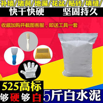 Speed Dry Cementitious Glue Plug Hole White Cement Domestic Filling Stitch Agent Speed Dry Waterproof Jams Floor Drain Leak Proof Wall Repair