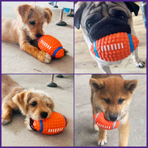 Sound dog toy ball Puppy molar bite-resistant bucket Pet Teddy Corgi small dog boredom artifact Dog play