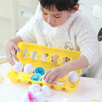 Exercise hands-on ability baby simulation egg shape matching toys 1-3 years old color cognitive teaching aids 12 sets