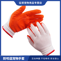 Zheng pet] hamster supplies hamster anti-biting gloves rat anti-biting hand grasping hamster protective gloves