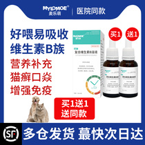 Cat with ringworm immunity pet enhancement cream supplement kitten solution Cat Moss vitamin B