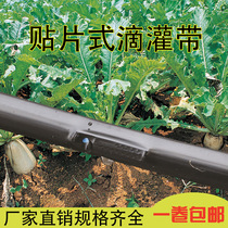Micro spray belt dropper belt Agricultural greenhouse vegetable film under 16 patch type drip irrigation belt drip irrigation pipe water-saving irrigation equipment