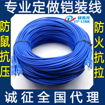 Anti-rat single-mode armored fiber jumper SC-LC-FC-ST multimode two-core 4-6-8-12 core armored pigtail cable