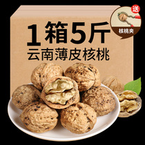 2020 new walnut thin skin Yunnan paper skin walnut thin shell dried spades 5 pounds fresh original ugly walnuts