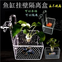 Fish tank acrylic hook type filter box small fish protection box suspension large and small Peacock fighting fry hatching