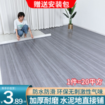 Thickened carpet bedroom living room large area full shop household plastic waterproof moisture-proof disposable floor mat girl ins Wind