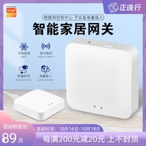 Graffiti smart home multi-mode gateway Zigbee central control wired host wireless Bluetooth Mesh linkage sig