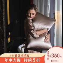  Silk pillow 100%mulberry silk filled double soft pillow core pillowcase set high-end luxury soft pair