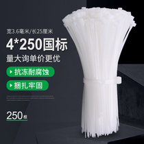 GB environmental protection nylon cable ties 4 * 250MM new light cable ties plastic cable ties 250