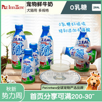 PET INN New Zealand ZEAL sincere milk baby dog cat natural zero lactose PET calcium snacks