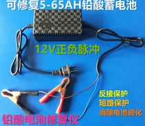 12V battery positive and negative pulse battery repairer Car electric car motorcycle battery detection repairer 16V