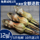 (Buy 10 get 1 free)Changbai Mountain whole snow clam dried 12 grams of Northeast forest frog dried snow clam oil hash ant