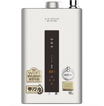 Explosion-proof JSQ31-VJSX water heater (Smith)
