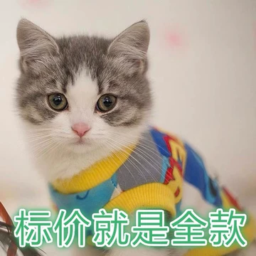 花猫 O1CN01nXnpuo1OJmHmp9K4b_!!