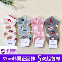 2021 Korea Dongdaemun cartoon socks female small animal fruit pattern cotton socks spring and autumn do not fall with short socks