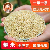 Yimeng Mountain Niu New Brown Rice Farmhouse Planting Brown Rice Whole Germ Brown Rice Whole Grain Grain Germ Rice Full