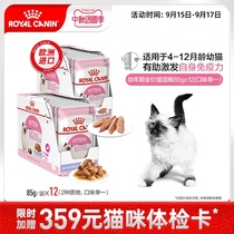 Royal juvenile imported cat wet food staple three textures Mousse soup meat block gel 85g * 12 non-snacks